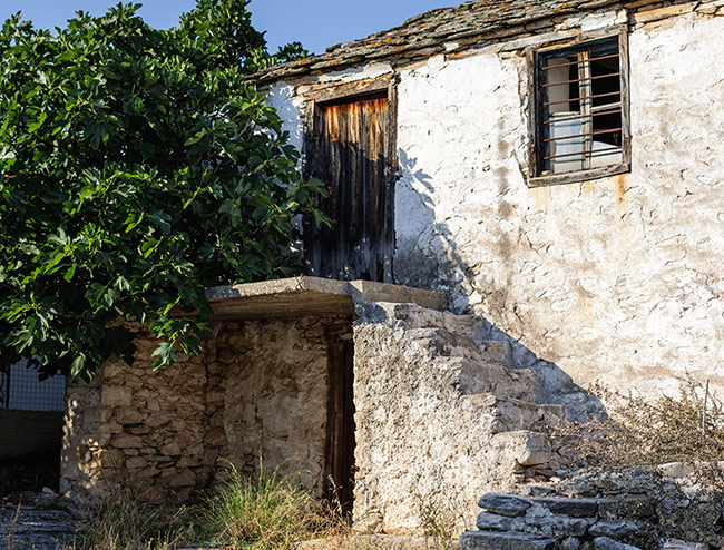 Thassos Photo